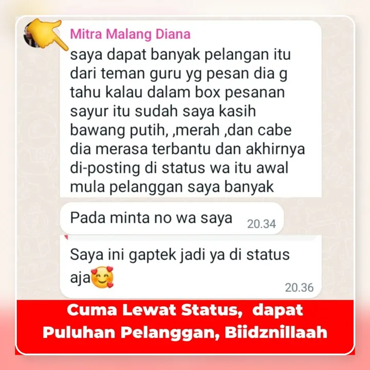 Gaptek, cukup lewat status WA dapat puluhan pelanggan